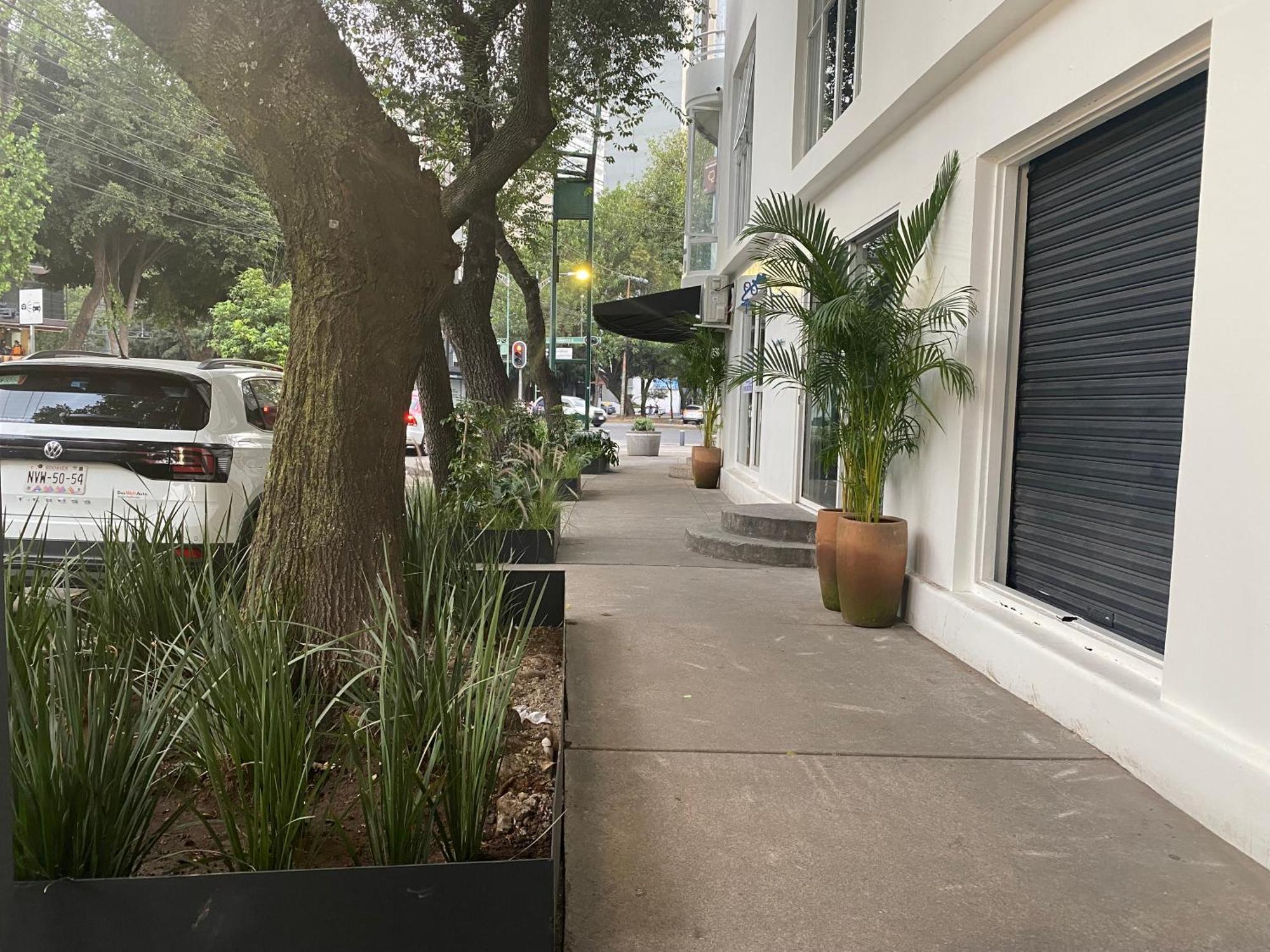 Casa Corp Boutique Suites In Condesa Meksyk Zewnętrze zdjęcie