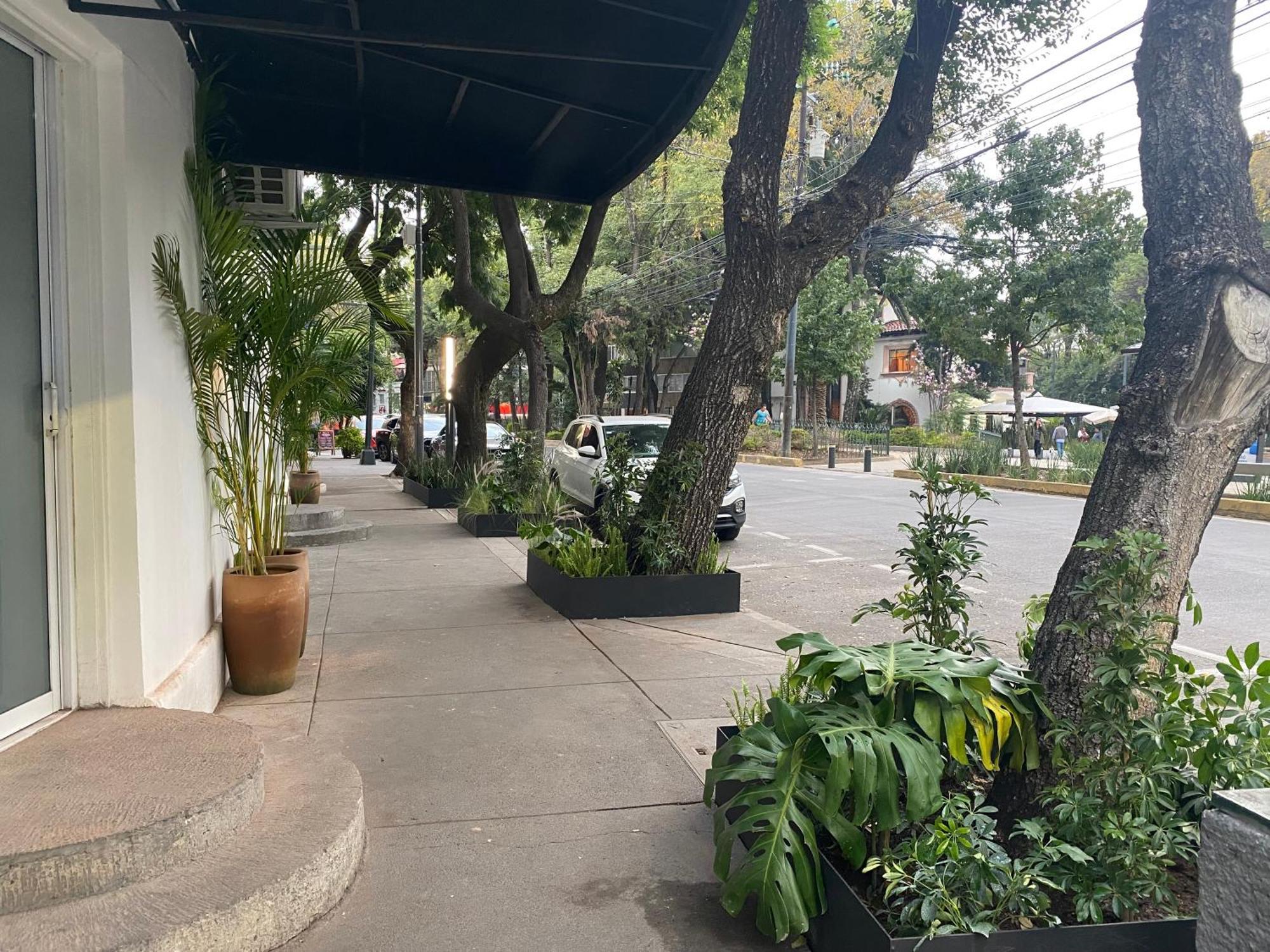 Casa Corp Boutique Suites In Condesa Meksyk Zewnętrze zdjęcie